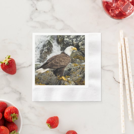 Serviette En Papier Aigle à tête blanche (En situation)