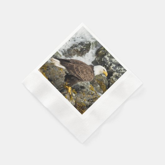 Serviette En Papier Aigle à tête blanche (Coin)