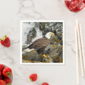 Serviette En Papier Aigle à tête blanche (En situation)