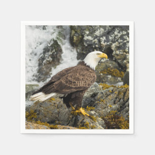 Serviette En Papier Aigle à tête blanche