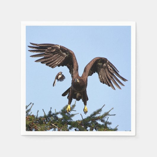 Serviette En Papier Aigle à tête blanche juvénile décolle (Devant)