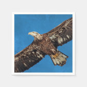 Serviette En Papier Aigle à tête blanche subadulte en vol (Devant)