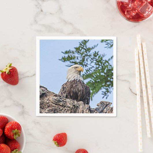 Serviette En Papier Aigle à tête blanche sur une branche d'arbre (En situation)
