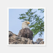 Serviette En Papier Aigle à tête blanche sur une branche d'arbre (Devant)