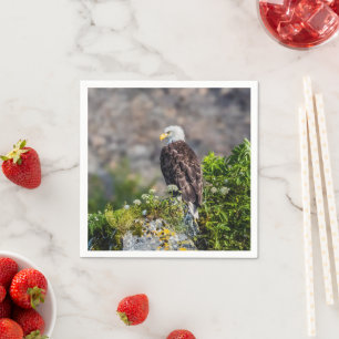 Serviette En Papier Aigle bald assis sur le rocher