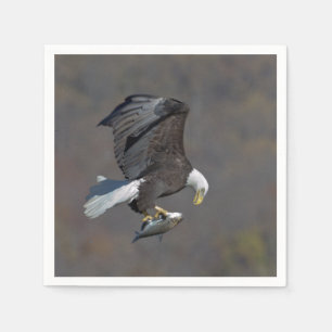 Serviette En Papier Aigle chauve regardant un poisson