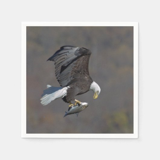 Serviette En Papier Aigle chauve regardant un poisson (Devant)