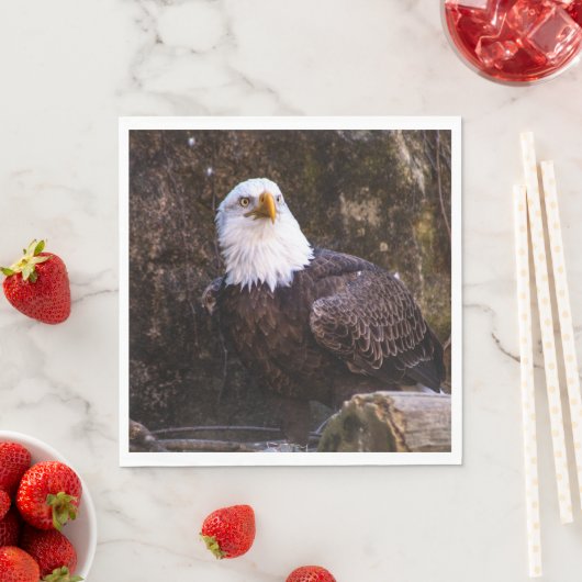 Serviette En Papier Aigle de Bald (En situation)