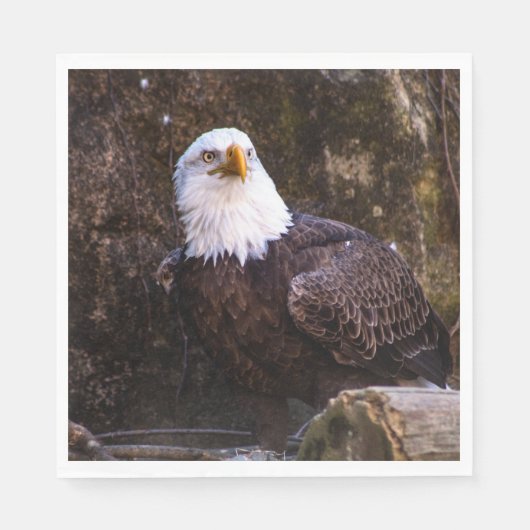 Serviette En Papier Aigle de Bald (Devant)