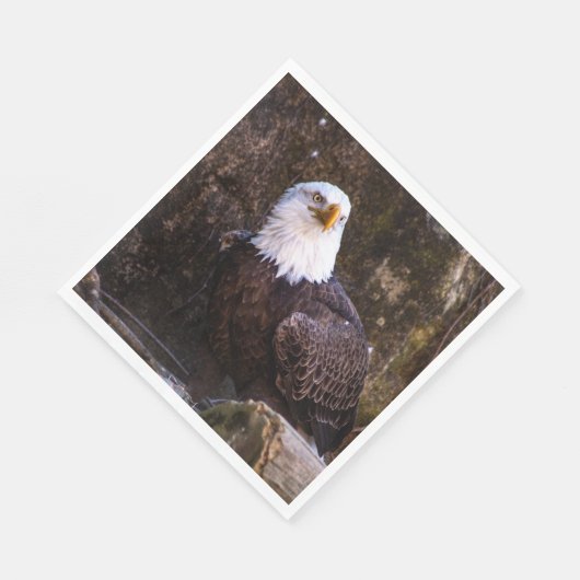 Serviette En Papier Aigle de Bald (Coin)