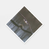 Serviette En Papier Aigle de Bald en vol (Coin)