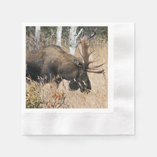 Serviette En Papier Aiguille (Devant)