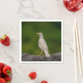 Serviette En Papier Albino Robin dans Crown Point (En situation)