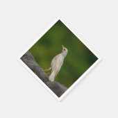 Serviette En Papier Albino Robin dans Crown Point (Coin)
