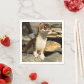 Serviette En Papier Alerte Weasel (En situation)