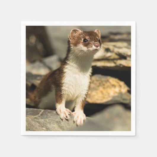 Serviette En Papier Alerte Weasel (Devant)
