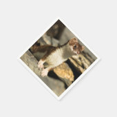 Serviette En Papier Alerte Weasel (Coin)