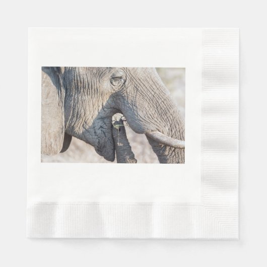 Serviette En Papier Alimentation des éléphants (Devant)