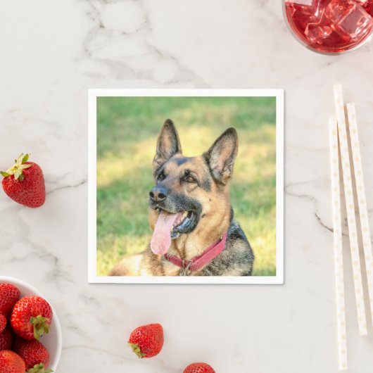 Serviette En Papier Allemand Shepard (En situation)