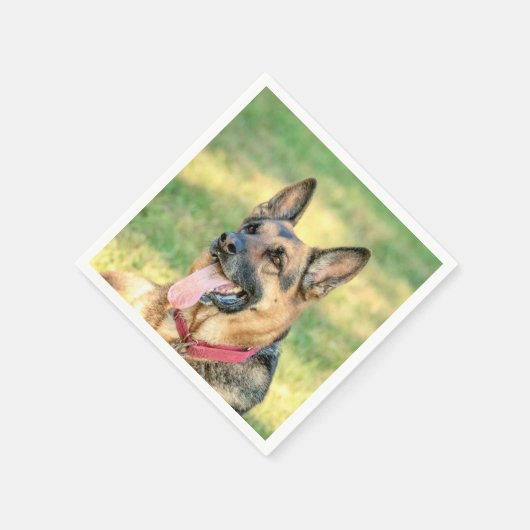 Serviette En Papier Allemand Shepard (Coin)
