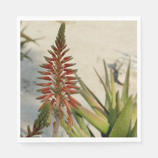 Serviette En Papier Aloe Vera Photo Luncheon Napkin (Devant)