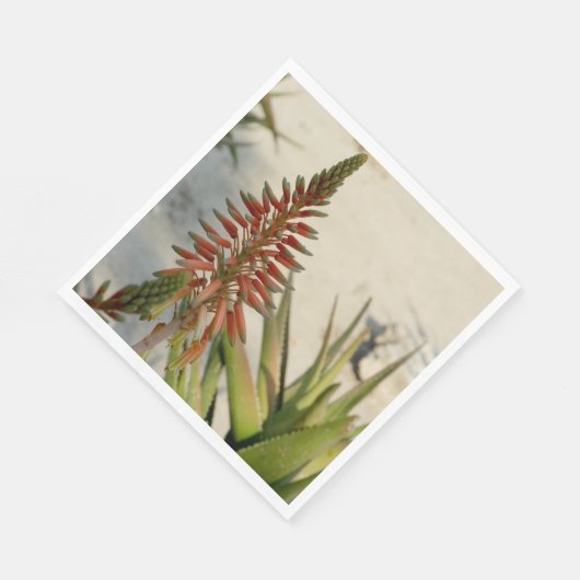Serviette En Papier Aloe Vera Photo Luncheon Napkin (Coin)