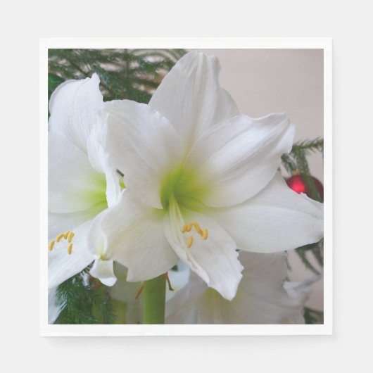 Serviette En Papier Amaryllis blanc et sapin de Noël (Devant)