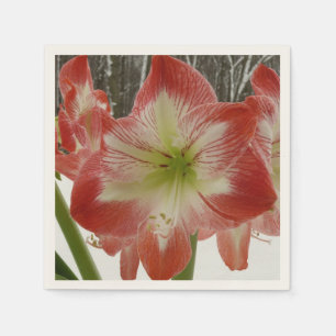 Serviette En Papier Amaryllis en Fête Rouge Neige Hiver Floral