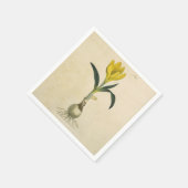 Serviette En Papier Amaryllis Tulip Jardin Botanique Fleur (Coin)