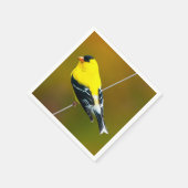 Serviette En Papier American Goldfinch - Photo originale (Coin)