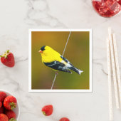 Serviette En Papier American Goldfinch - Photo originale (En situation)