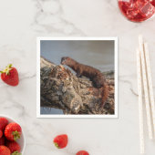 Serviette En Papier American Mink (En situation)