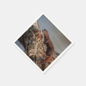 Serviette En Papier American Mink (Coin)