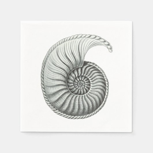 Serviette En Papier Ammonite (Devant)