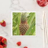 Serviette En Papier Ananas sauvage Fruit tropical dans la nature (En situation)