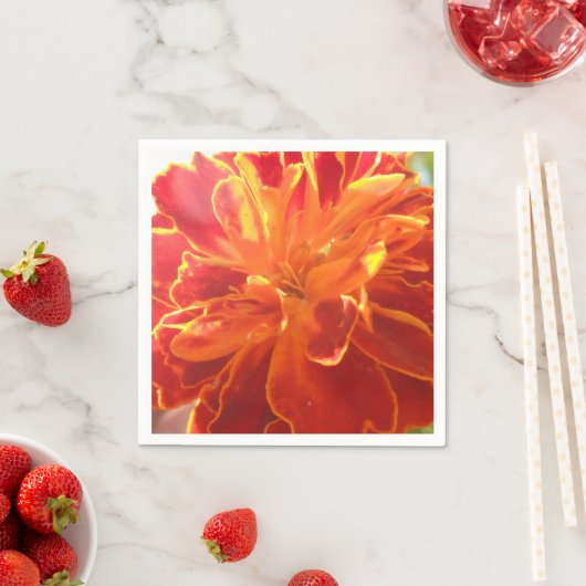 Serviette En Papier Anastaise (En situation)