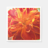 Serviette En Papier Anastaise (Devant)