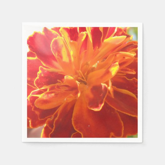 Serviette En Papier Anastaise (Devant)