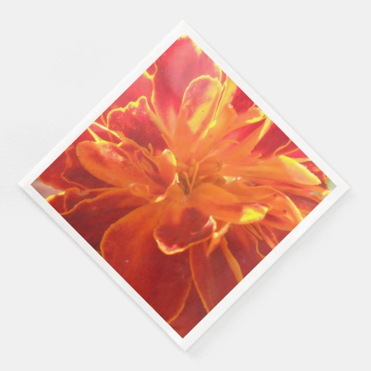 Serviette En Papier Anastaise (Coin)