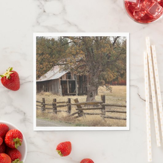 SERVIETTE EN PAPIER ANCIENNE GAILLE (En situation)