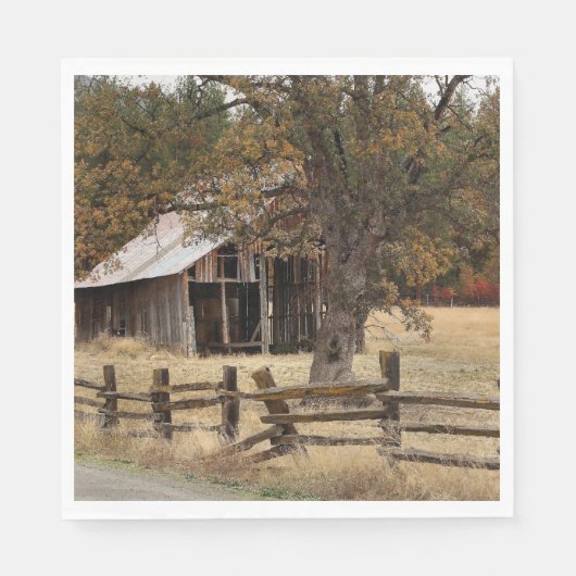 SERVIETTE EN PAPIER ANCIENNE GAILLE (Devant)