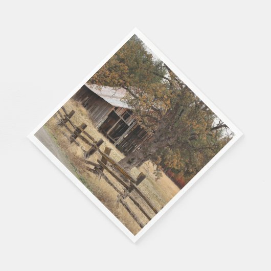 SERVIETTE EN PAPIER ANCIENNE GAILLE (Coin)