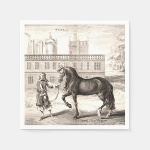 Serviette En Papier Andalou PRE Horse Vintage Engraving Art
