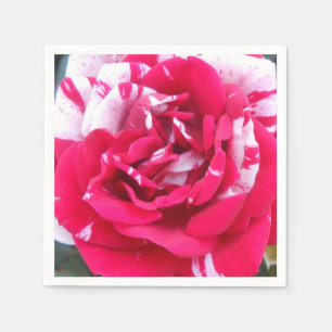 Serviette En Papier Anicia