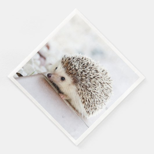 Serviette En Papier Animal de Cute (Coin)