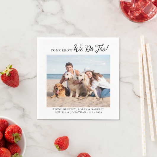 Serviette En Papier Animaux de compagnie Chien Chat Photo Dîner de rép (En situation)