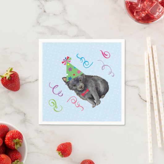 Serviette En Papier Anniversaire Schipperke (En situation)