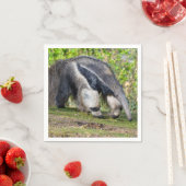 Serviette En Papier Anteater géant marchant sur l'herbe (En situation)