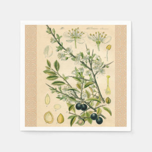 Serviette En Papier Antique Blackthorn Botanique Imprimé Fleur Berry
