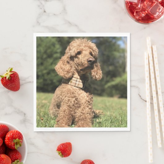 Serviette En Papier Apricot Poodle personnalisable (En situation)